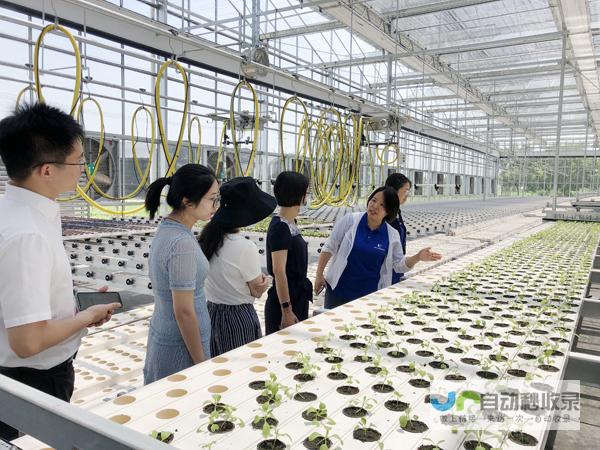 闵行地区专业网页设计服务 - 提升您的线上形象