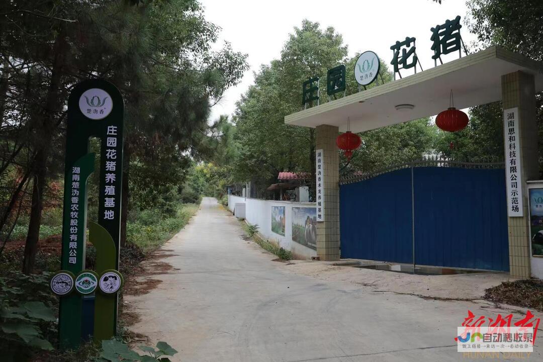 长沙私人定制网站：打造专属您的在线形象，提升品牌价值